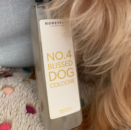 Blissed Dog Cologne – A Luxurious Grooming Spray for Soft, Hydrated Coats