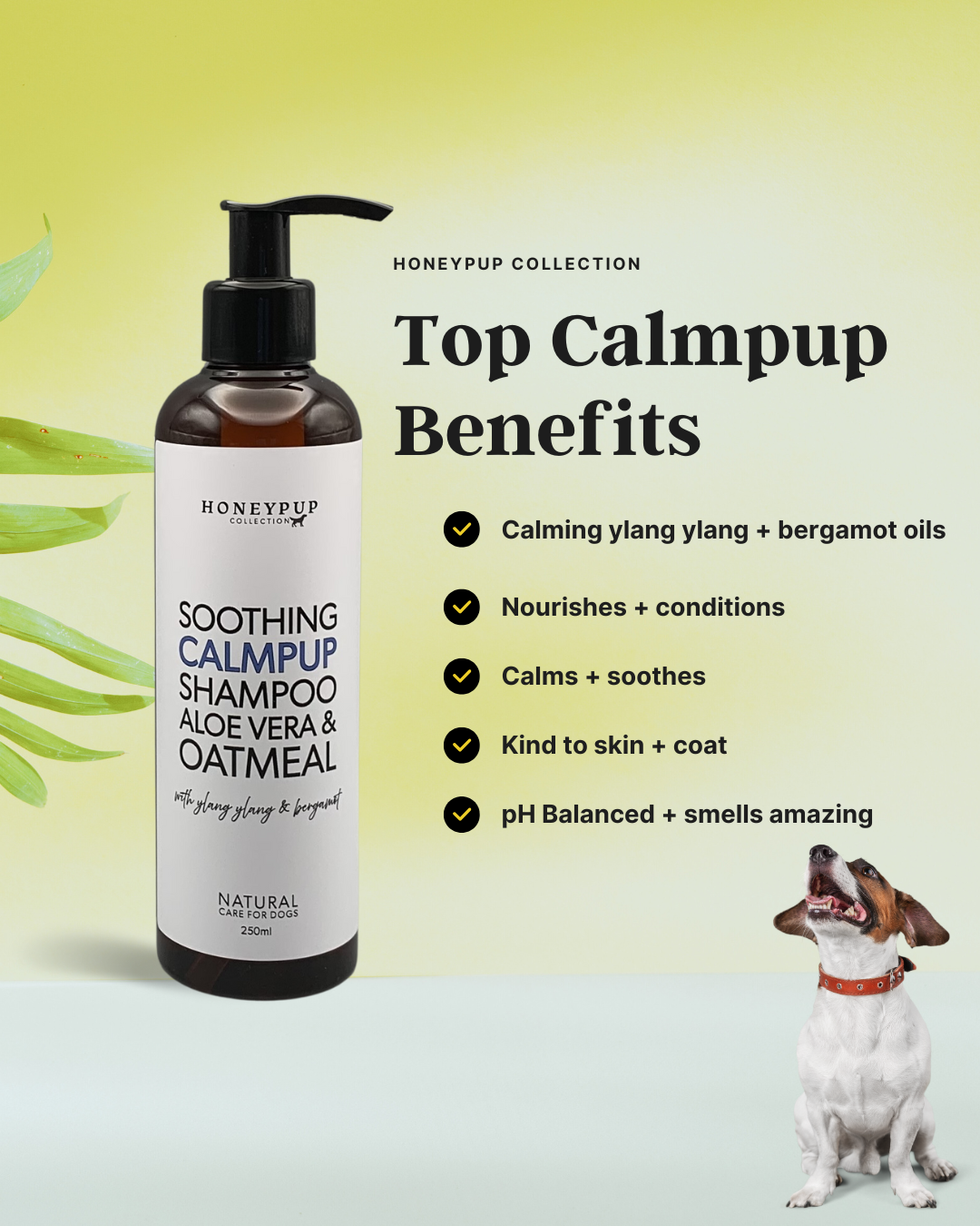 CALMPUP Soothing Dog Shampoo – Natural, Calming Care For Your Dog