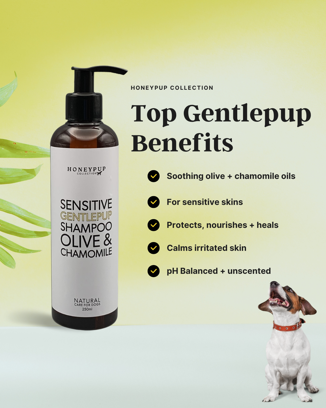 GENTLEPUP Sensitive Dog Shampoo – Kind, Soothing Care for Delicate Skin