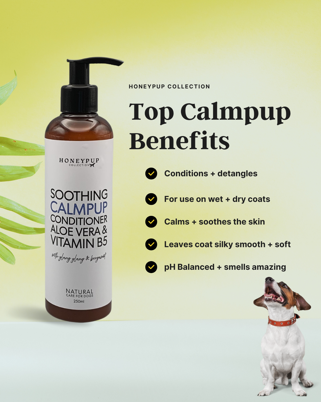 CALMPUP Soothing Dog Conditioner – Natural Detangling & Calming Care