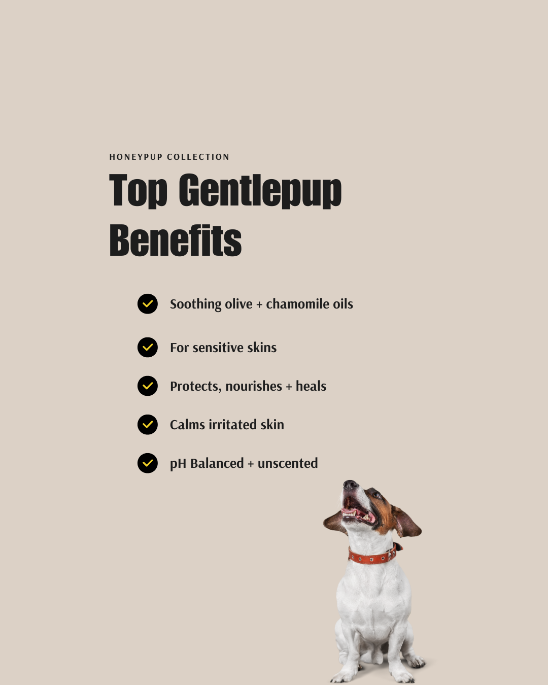 GENTLEPUP Sensitive Dog Shampoo – Kind, Soothing Care for Delicate Skin