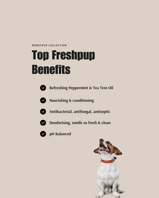 FRESHPUP Deodorising Duo – Fresh, Clean & Nourished Coats