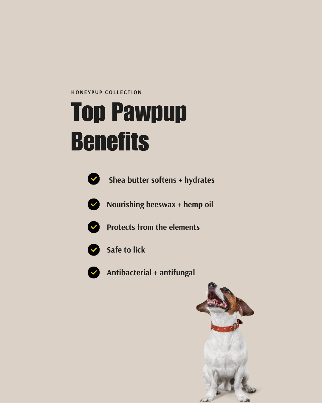 PAWPUP dog paw balm benefits: shea butter, beeswax, hemp oil, lick-safe