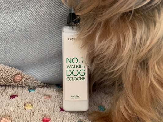 Dog cologne and dog sitting next to it