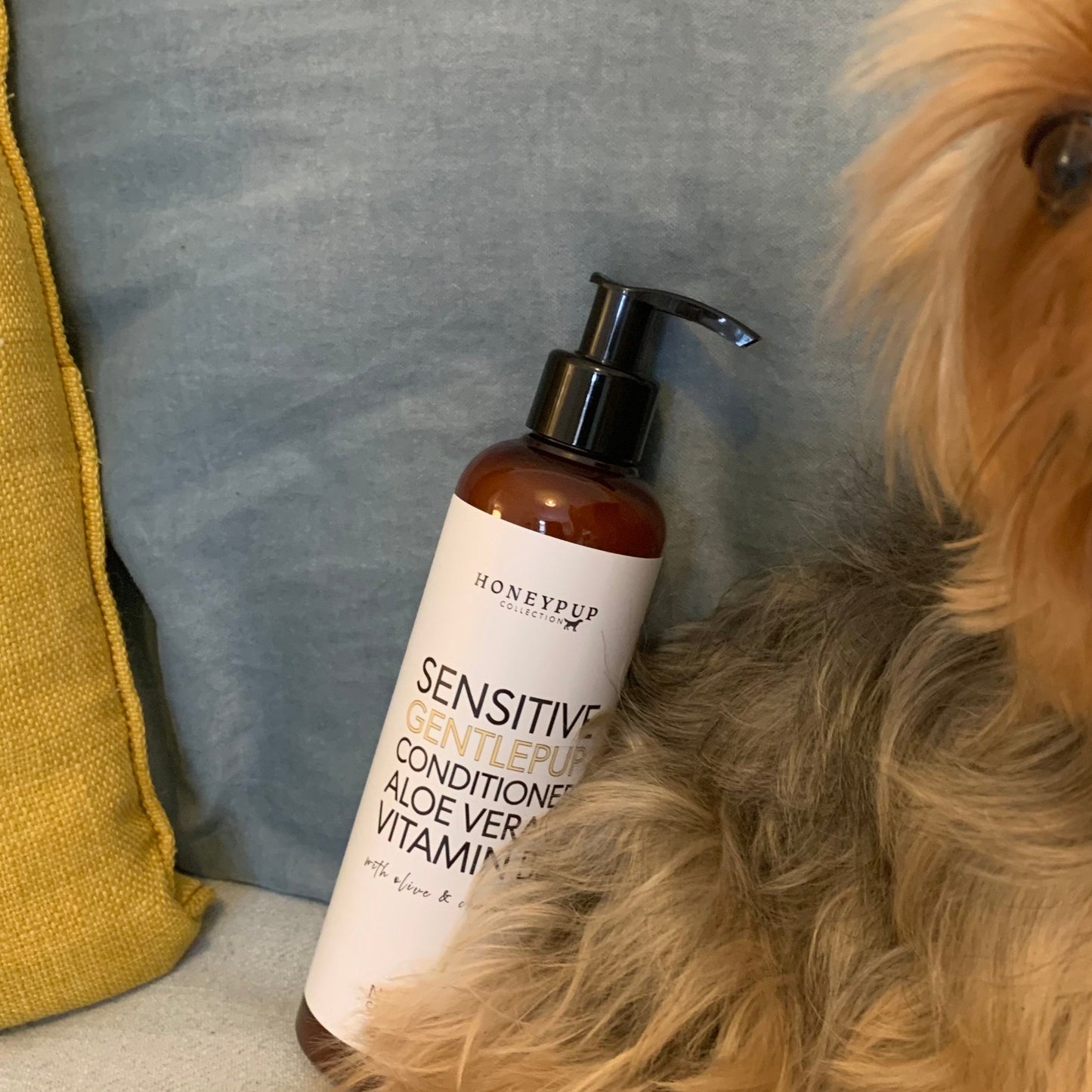 perfect for puppies, unscented dog conditioner, Yorkie with conditioner bottle, perfect care for sensitive skin, helps to soften fur, has essential oils that soothe
