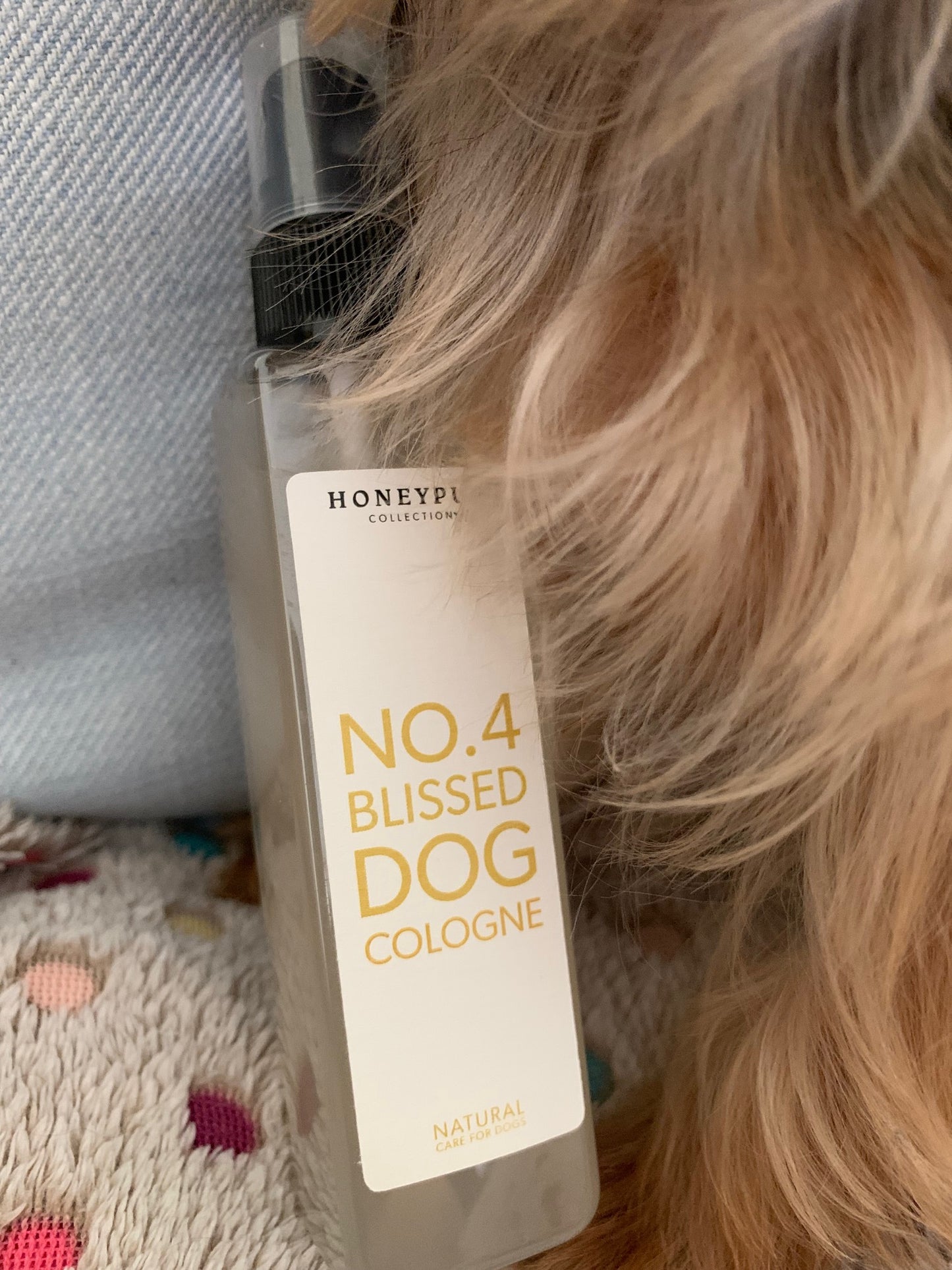 No.4 Blissed Dog Cologne – Luxurious, Natural Dog Grooming Spray UK