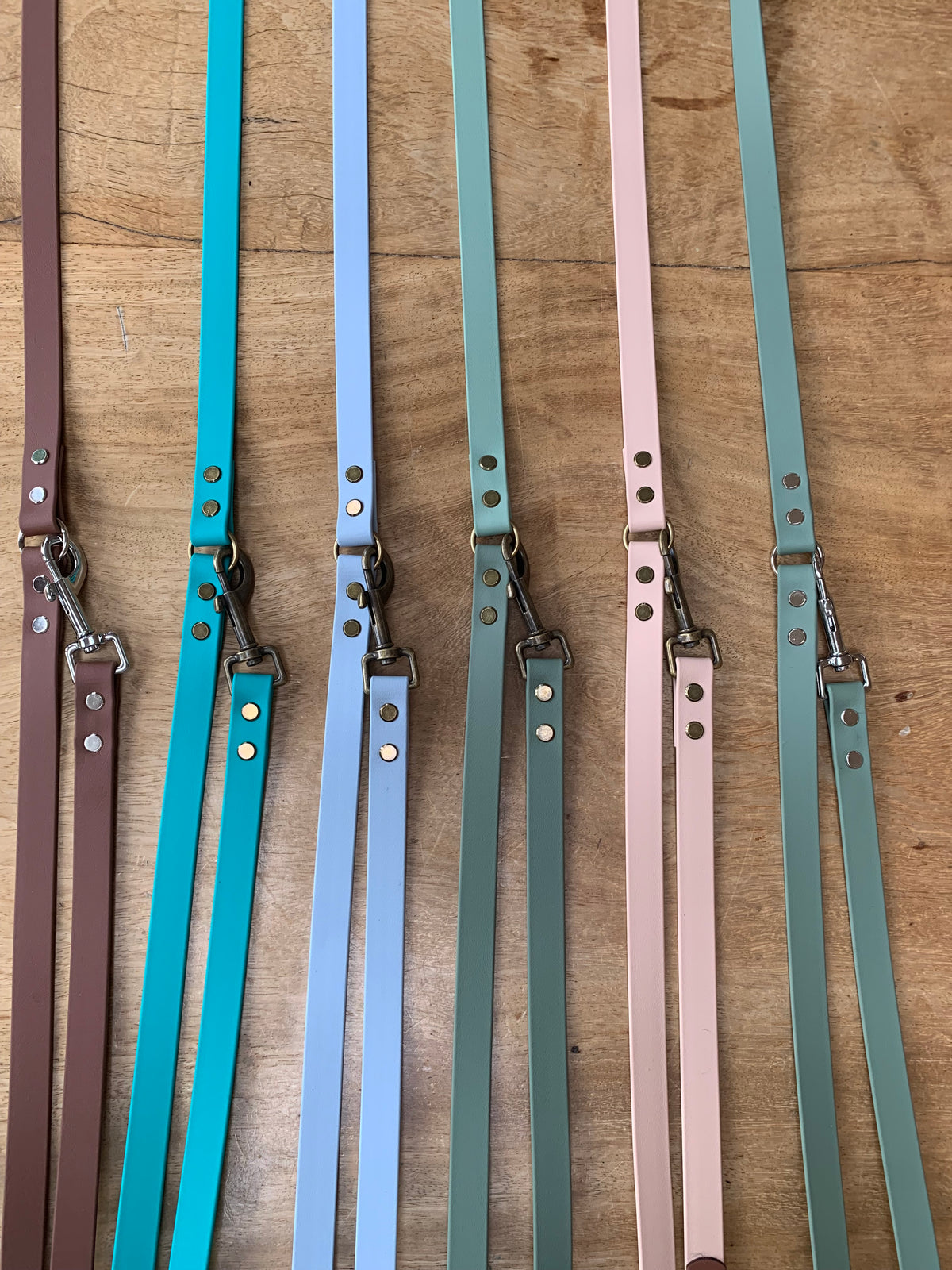 Custom Multiway BioThane® Dog Lead