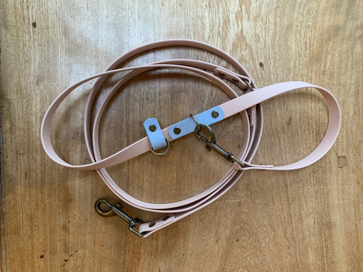 Custom Multiway BioThane® Dog Lead