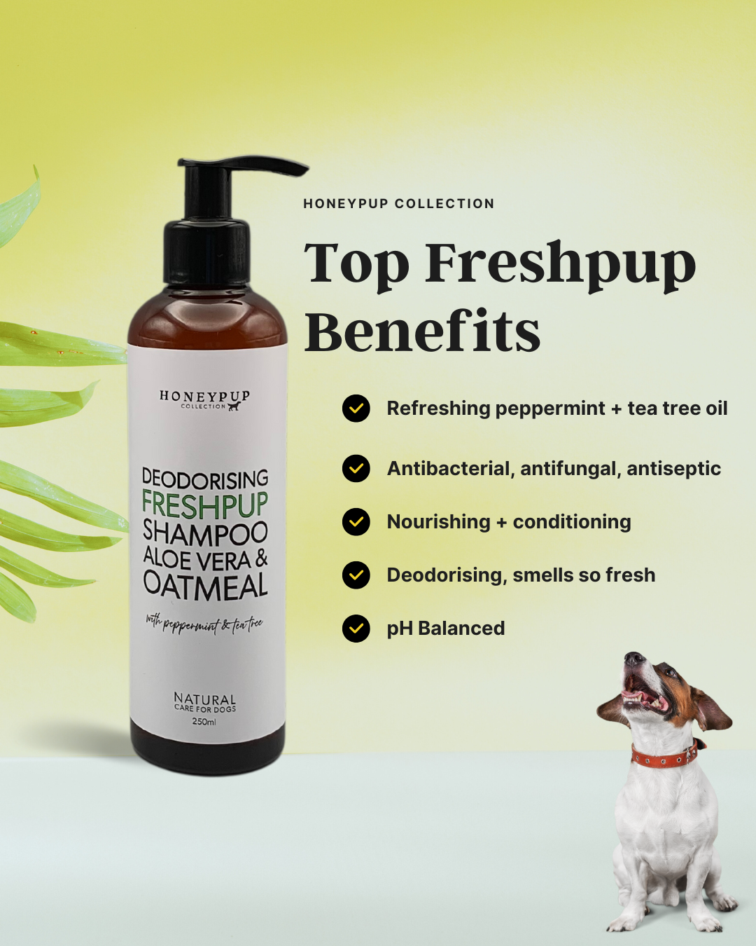 FRESHPUP Deodorising Dog Shampoo – Powerful Odour Neutraliser