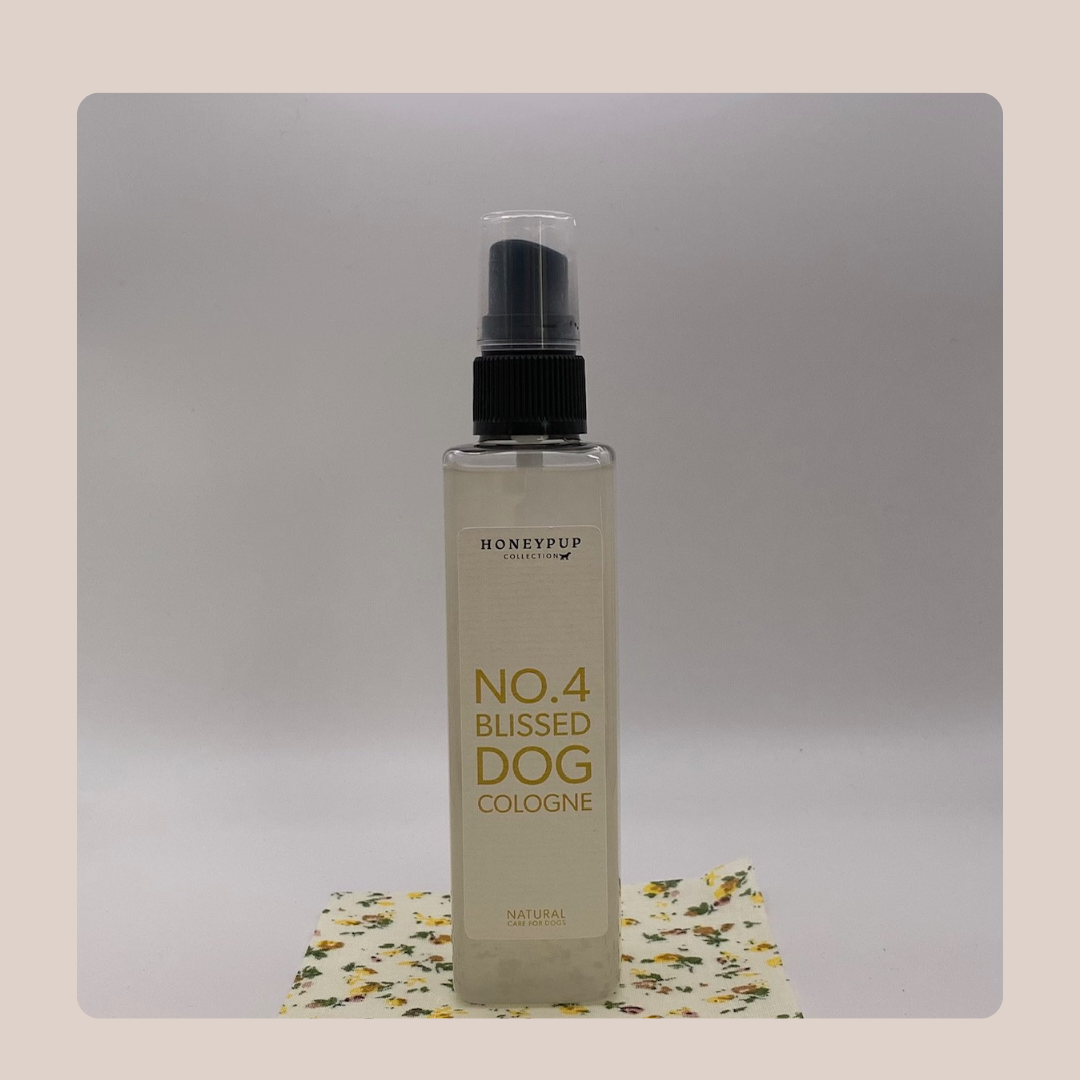 Blissed Cologne – Luxurious Grooming Spray with a Long-Lasting Scent