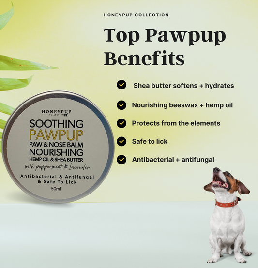 paw and nose balm for dogs