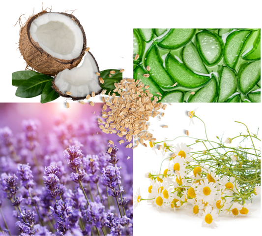 Top 5 Natural Ingredients that feature in Honeypup Collection.