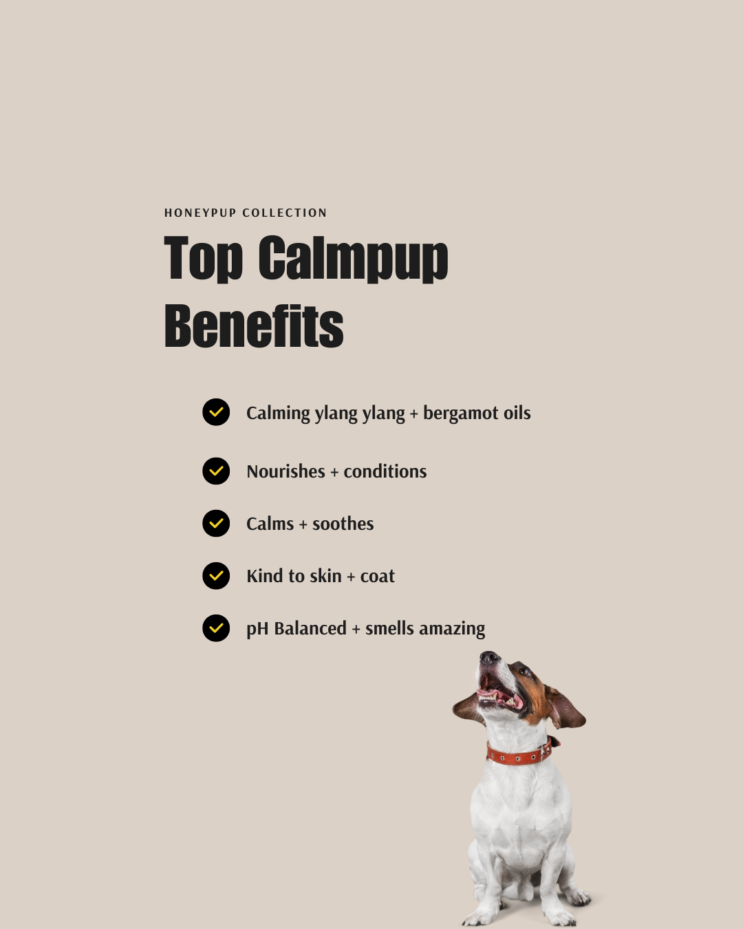CALMPUP Soothing Shampoo & Conditioner Duo – Naturally Calming Grooming for Dogs