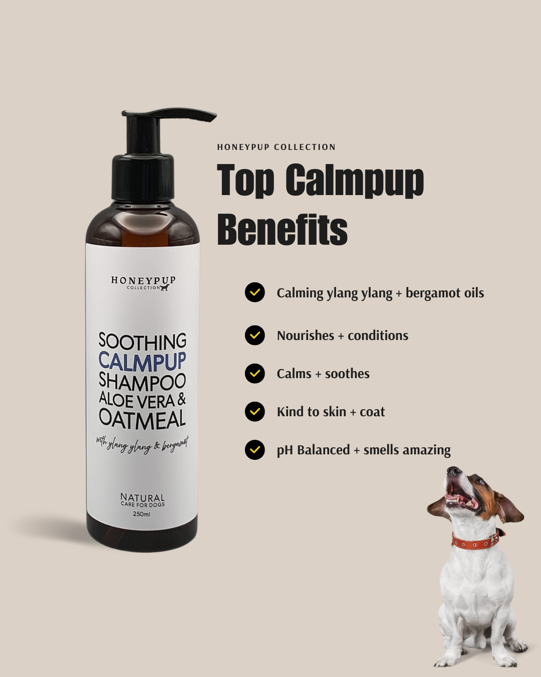 CALMPUP Soothing Dog Shampoo – Natural, Calming Care For Your Dog