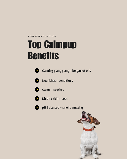 CALMPUP Soothing Dog Shampoo – Natural, Calming Care For Your Dog