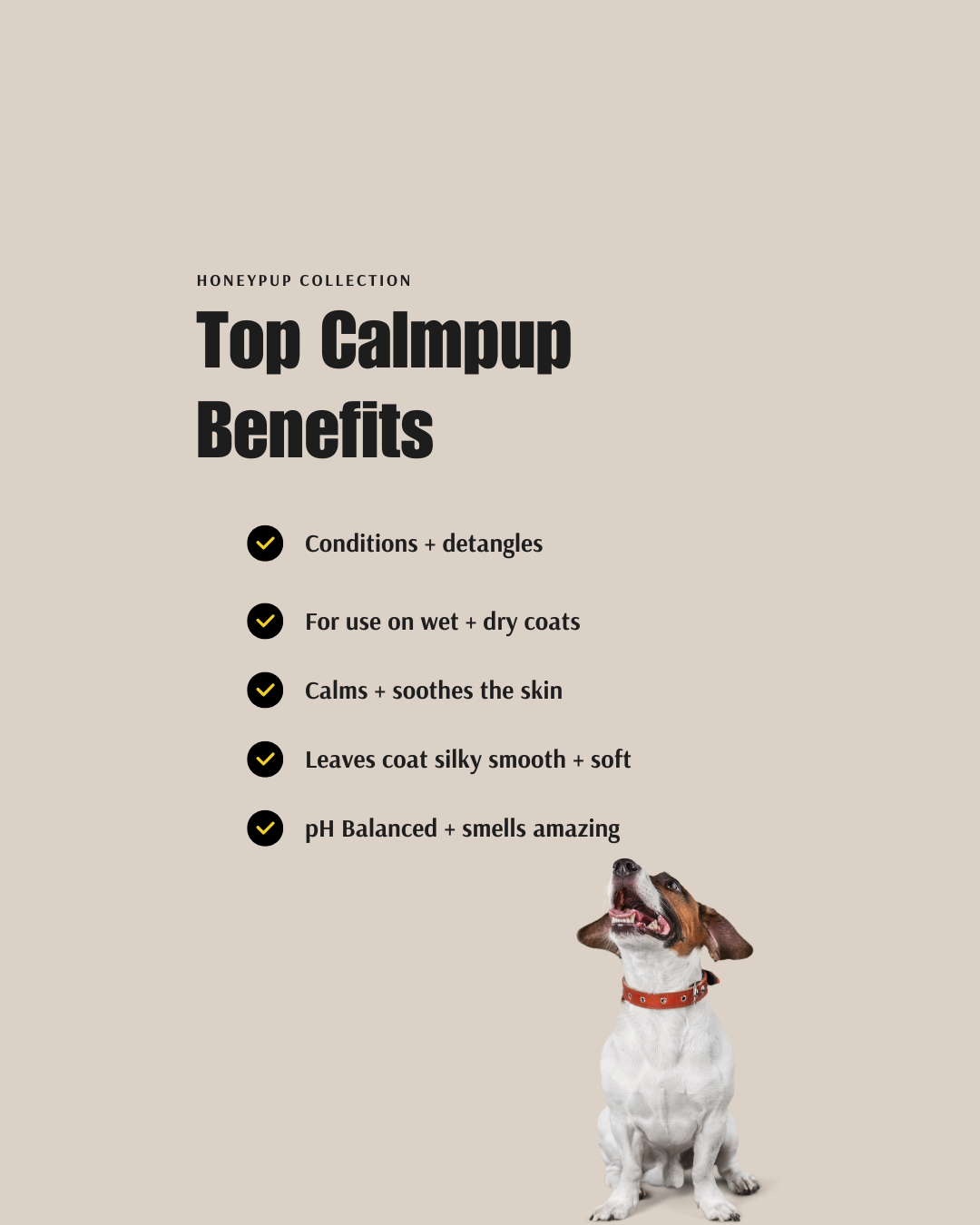 CALMPUP Soothing Shampoo & Conditioner Duo – Naturally Calming Grooming for Dogs