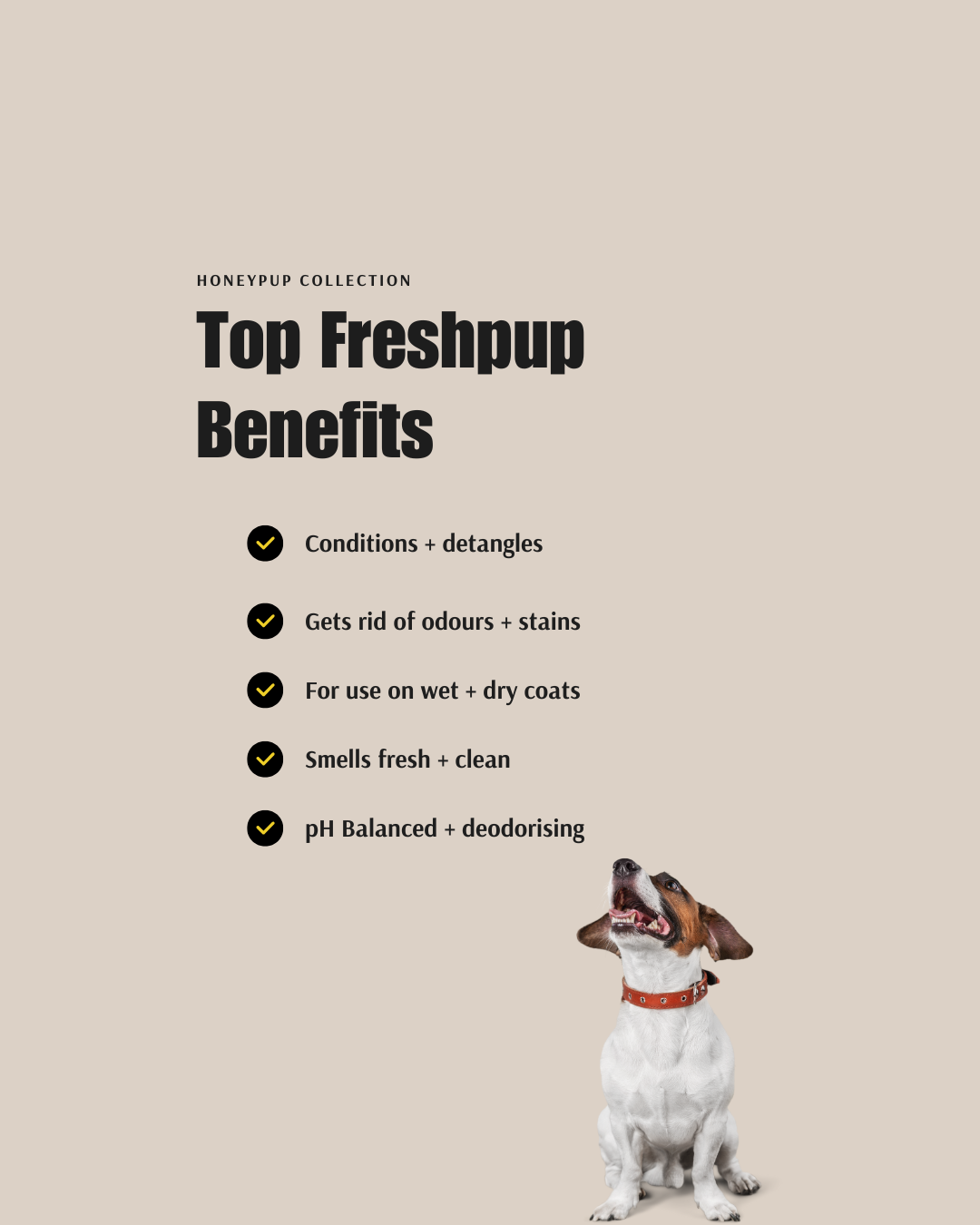 FRESHPUP Deodorising Duo – Fresh, Clean & Nourished Coats