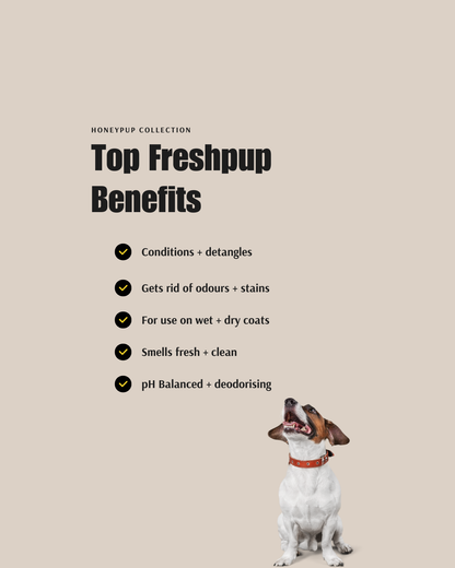 FRESHPUP Deodorising Duo – Fresh, Clean & Nourished Coats