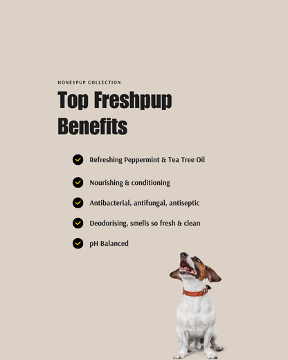 FRESHPUP Deodorising Duo – Fresh, Clean & Nourished Coats