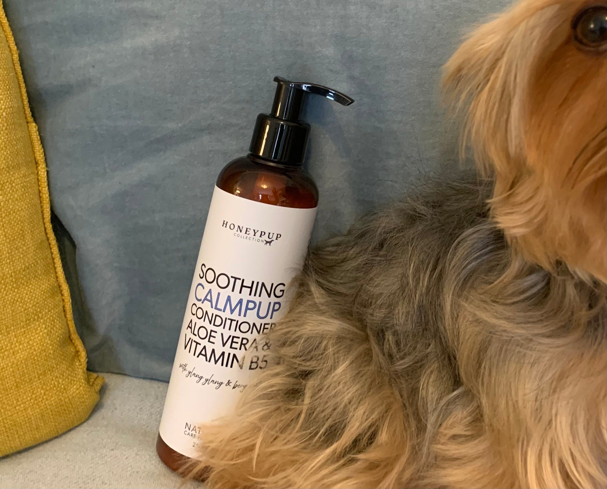 conditioner and detangler for all dogs, effective natural dog grooming, silky smooth coat for dogs, excellent detangler, Yorkie promoting Calmpup conditioner