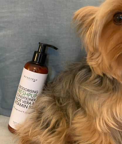 Dog conditioner, Yorkie with conditioner, dog sitting with dog conditioner, smooth, silky fur with this dog conditioner