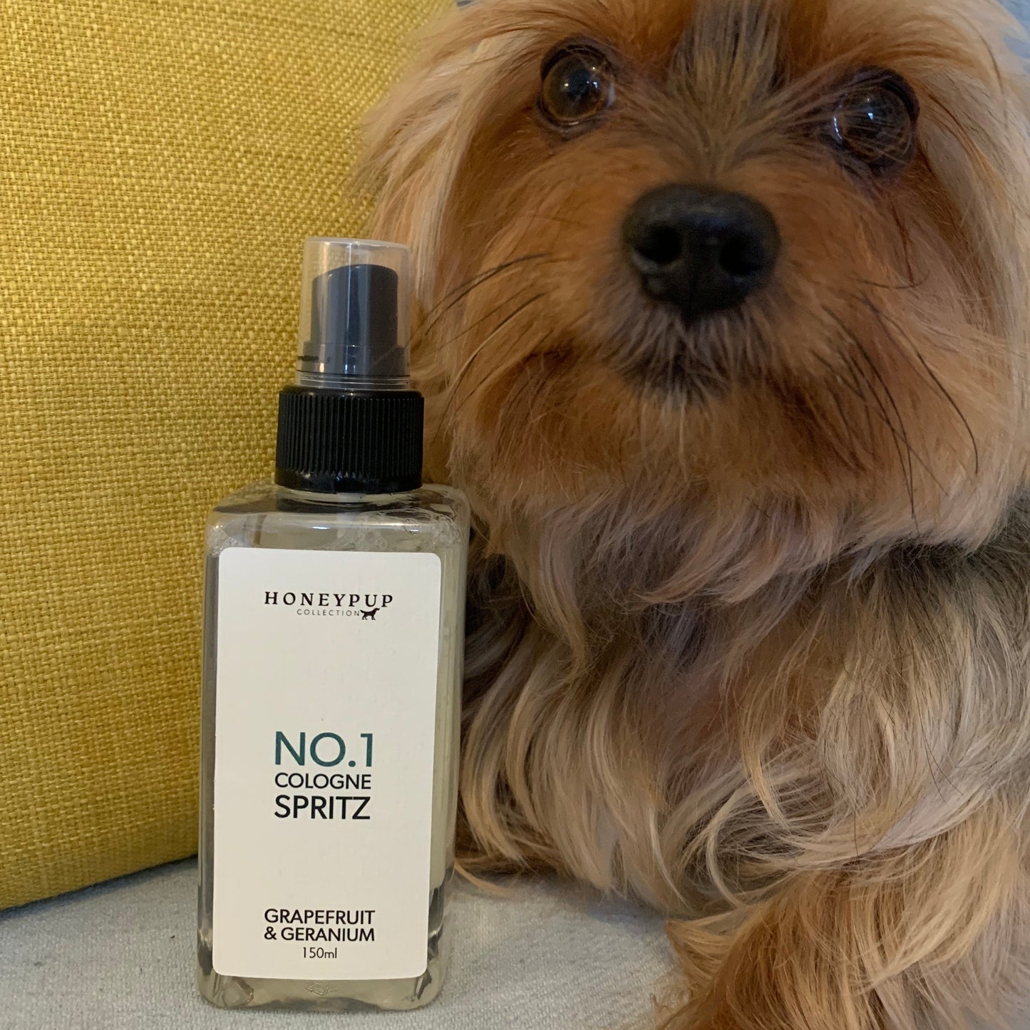 Honeypup collection dog perfume, dog cologne, dog spritz, natural ingredients, Yorkie with No.1 perfume bottle.