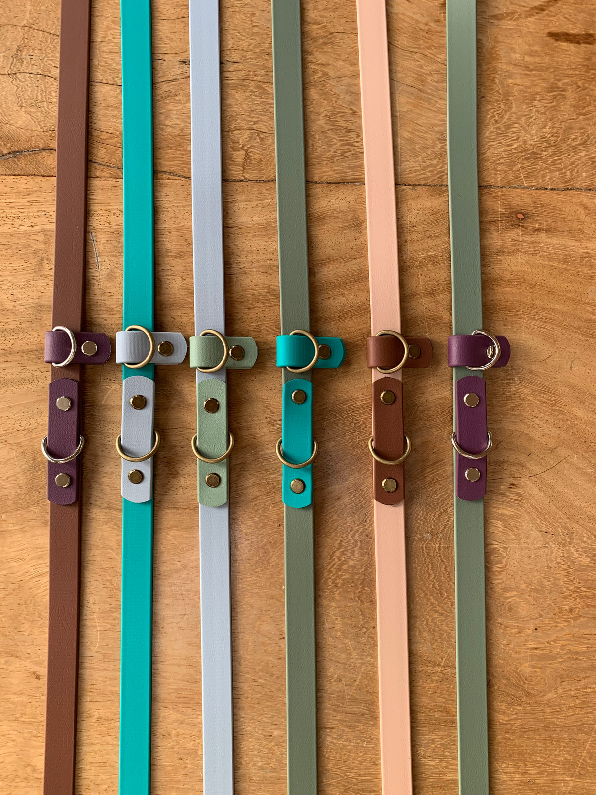 Custom Multiway BioThane® Dog Lead