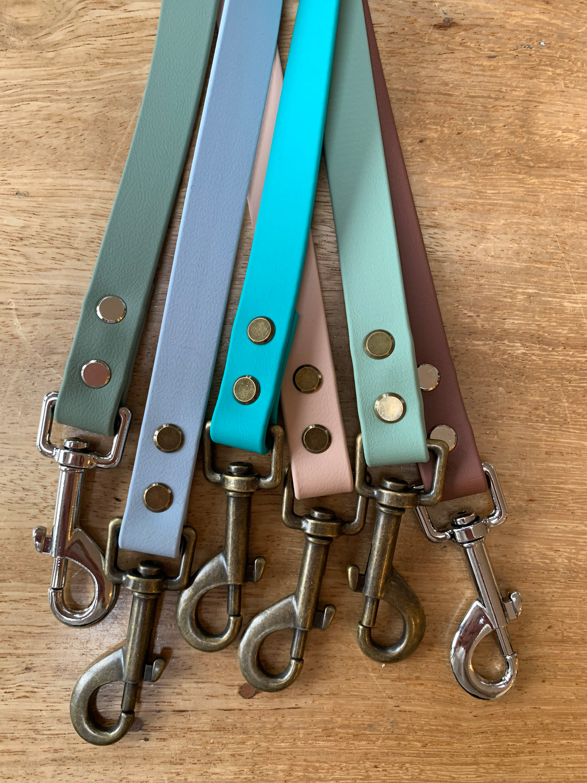 Custom Multiway BioThane® Dog Lead