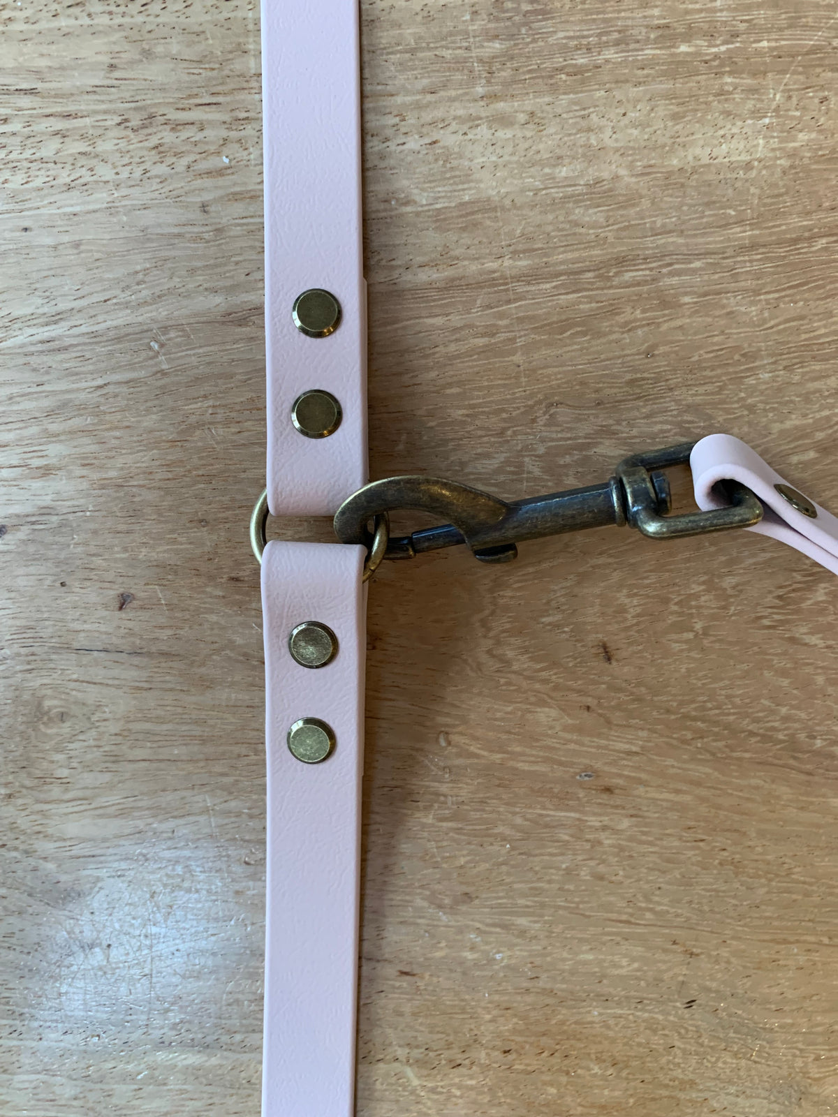 Custom Multiway BioThane® Dog Lead