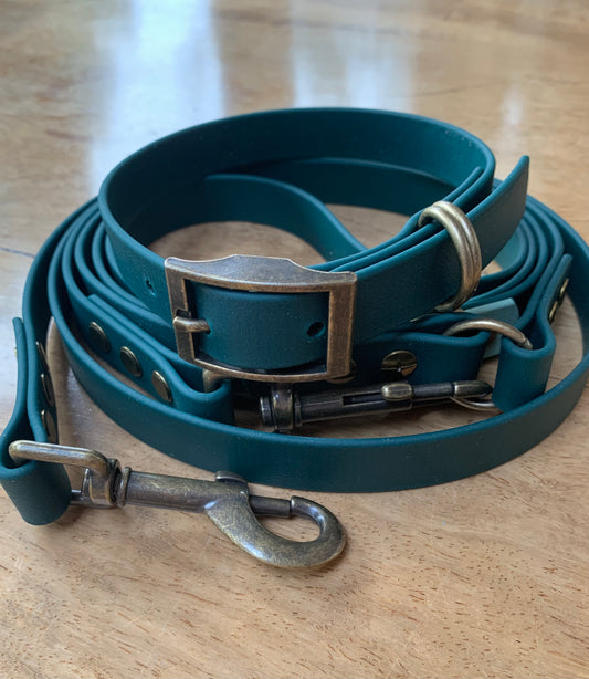 Custom made BioThane dog lead and collar in green with brass clips