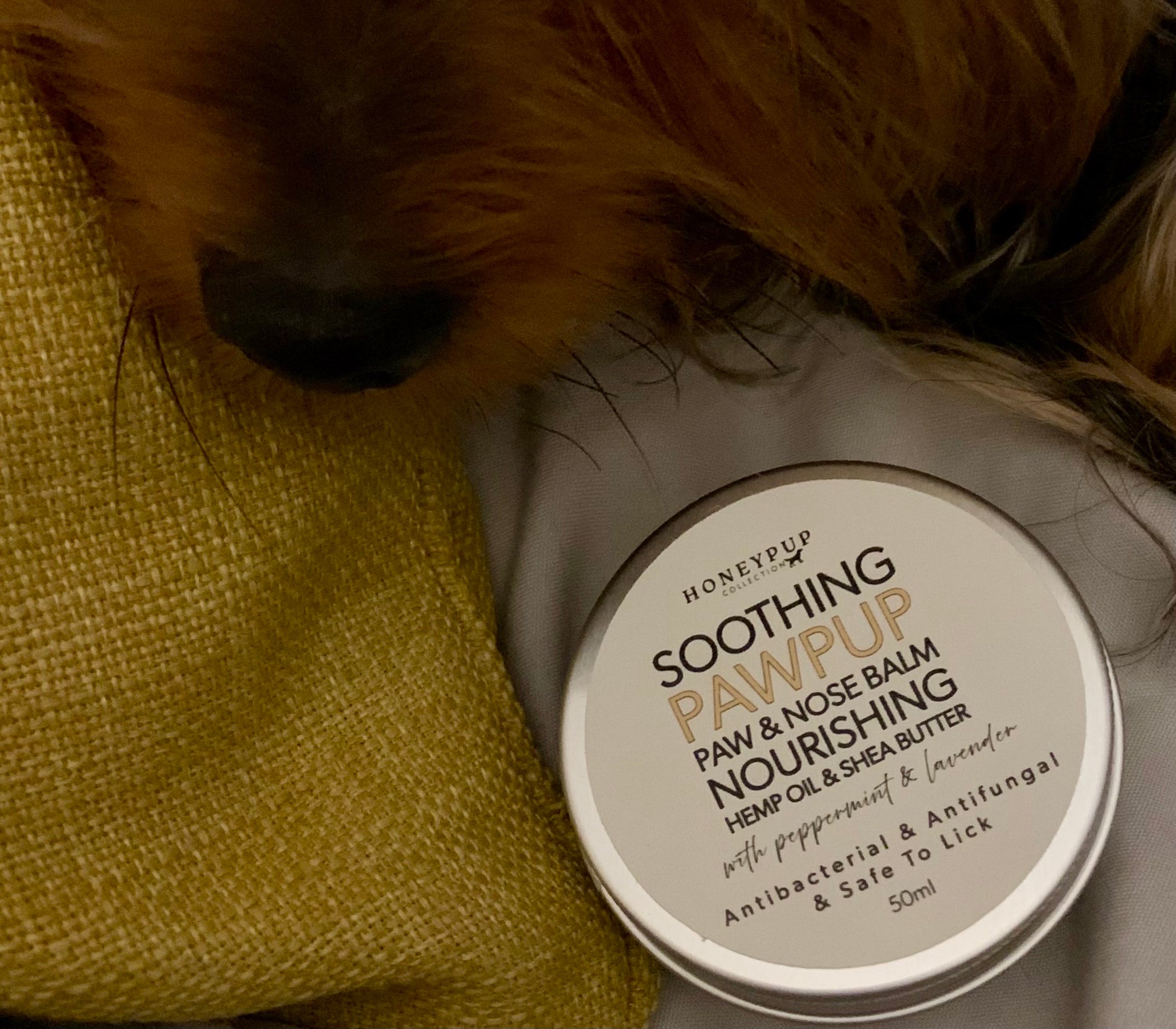 balm for dogs, balm for paws and noses, natural care for dogs